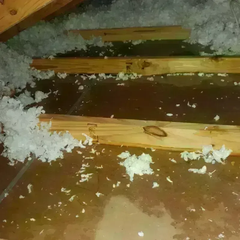 Attic Water Damage in Hartley, IA