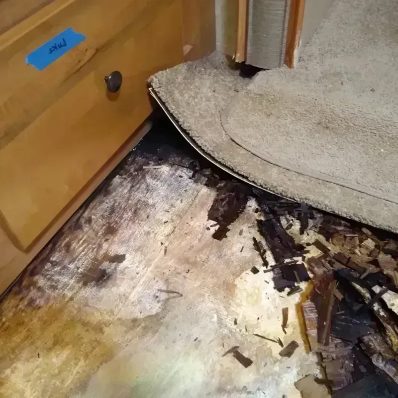 Best Wood Floor Water Damage Service in Hartley, IA